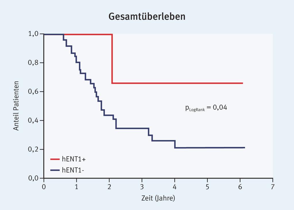 Abb. 3: Gesamtüberleben bei Patienten mit kurativ operiertem Pankreaskarzinom und adjuvanter Therapie mit Gemcitabin: signifikant längeres Überleben bei Patienten mit hoher hent1-expression (hent1+)