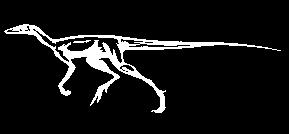 Theropoden Tyrannosaurus Dinosaurier Sauropoden Ornithischier Hadrosaurier Ceratopsier Stegosaurier Triceratops Stegosaurus Zeitliches Vorkommen der wichtigsten vom Kreide/Paläogen-Massenaussterben