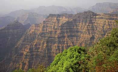 130 120 110 100 90 80 70 60 50 Mio Jahre Späte Kreide Frühes Paläogen Kloakentiere (Monotremata) Beuteltiere (Marsupialia) Die flach liegenden Basaltschichten der «Deccan traps» Indiens sind 3 500 m