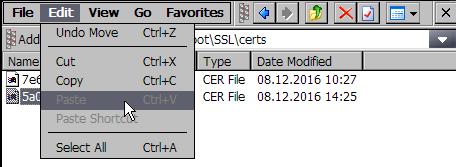 "Hexadezimalzahl." aus (Edit > Cut). Öffnen Sie in dem gleichen Verzeichnisbaum den Ordner "certs" und fügen Sie das zuvor ausgeschnittene Zertifikat in diesen Ordner ein.