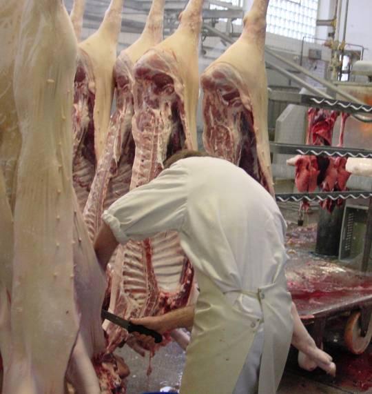 Herkunft Fleischverarbeitung und Schlachthöfe Gemüse-