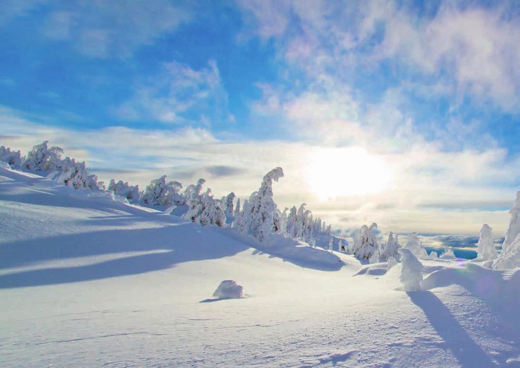 B.C. SKI COUNTRY Gemütliche Bergorte und fabelhafte Skipisten auf Weltklasse-Niveau bieten die Skiresorts Big White, Silver Star und Sun