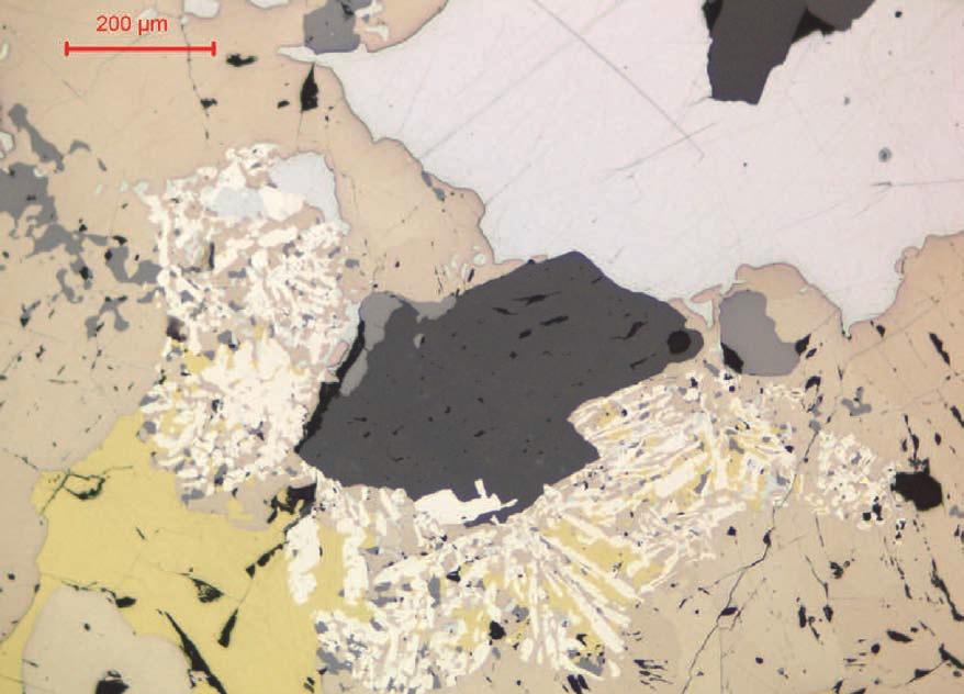 Chalkopyrit-Entmischungen, Chalkopyrit (gelbgrau) und Galenit (weißgrau) eingeschlossen. Pol. Anschl., 1 Nic. Abb.