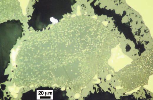 Abb. 23a Spalerit (grau) mit feinen Chalkopyrit-Entmischungen und Chalkopyrit (gelb) werden umkrustet