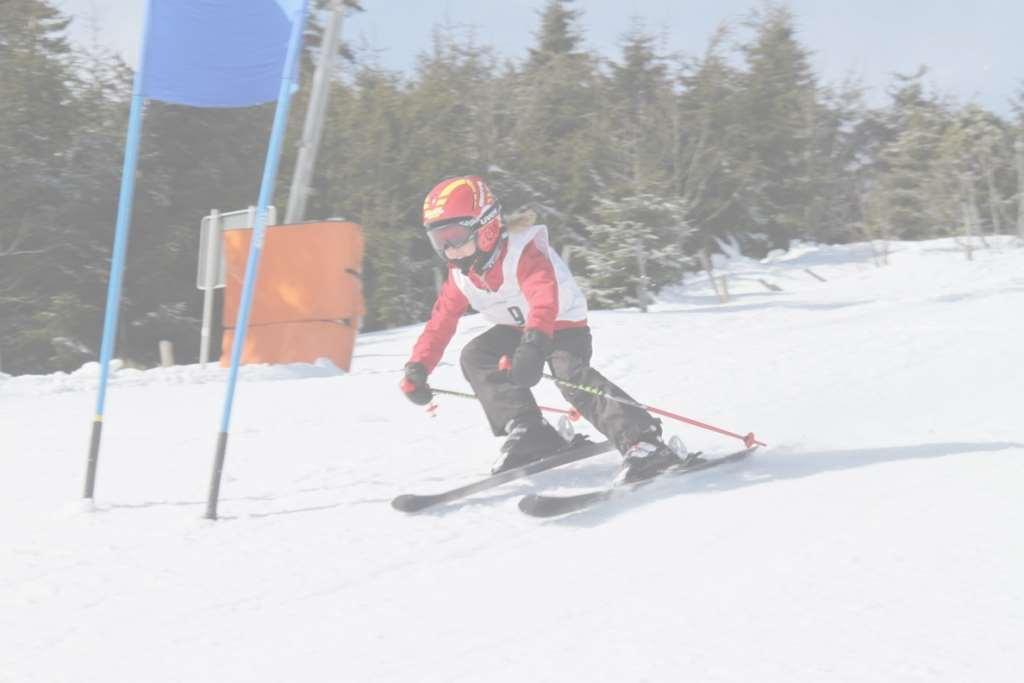 Viele Medaillen am Fichtelberg März 2016: 17 Teilnehmer 23 Medaillen Riesenslalom Slalom Martha Hasler (SV Schorfheide), U 8 1. Platz 1. Platz Niklas Bleyer (WSV Wandlitz), U 8 1. Platz 1. Platz Lina Ducke (SV Schorfheide), U 12 1.