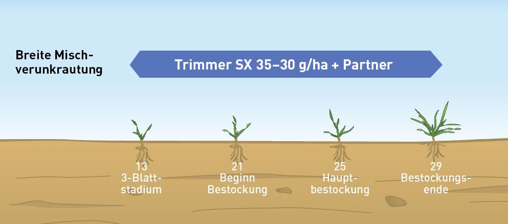 Antarktis Einsatzempfehlung Cool: