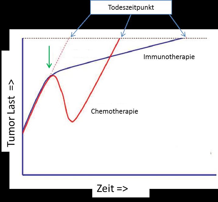 Blaue Linie: Tumorwachstumskinetik nach einer Immuntherapie Rote Linie: Tumorwachstumskinetik nach einer zytotoxischen Therapie Grüner Pfeil: Behandlungszeitpunkt mit einem aktiven