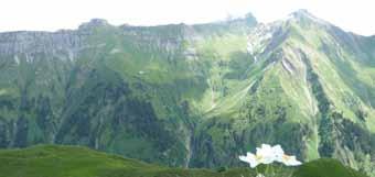 Wir sehen dies am Durnagel so heisst der reissende ter bezwungen und sind erst noch dem Marsch auf dem Bergbach, der sich immer tiefer ins Erdreich hinein frisst. alpzyt-trek Asphalt ausgewichen.