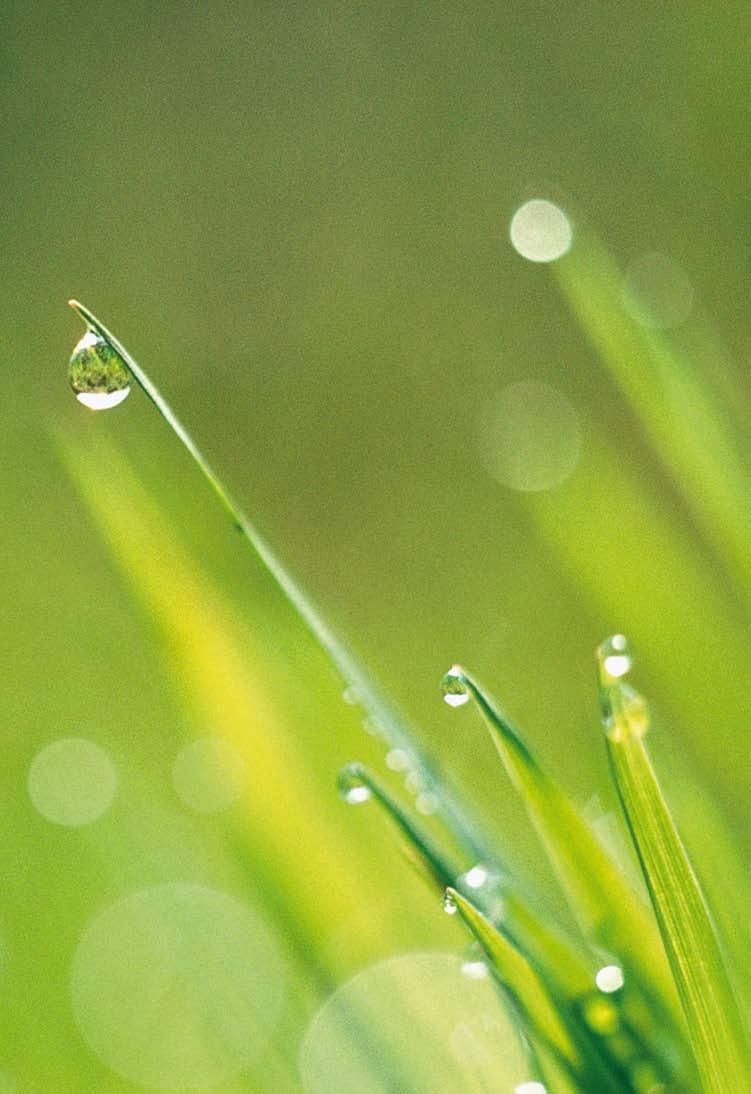 ENVIRONMENT Im Wasser steckt die Kraft des Lebens. Wasser ist Natur pur. Es ist also nur natürlich, dass wir zum Wasser Sorge tragen.