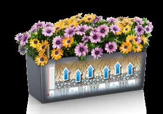Wechselbarer, farbneutraler Pflanzeinsatz offen Balkonkastenhalter Im Sommer und im Urlaub bestens versorgt: Pflanzen in Balkonkästen mit Bewässerungssystem bis zu 5 L Wasserspeicher