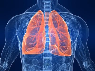 Bodyplethysmografie/ Spirometrie Bronchien obstruktiv? Lungenvolumina?