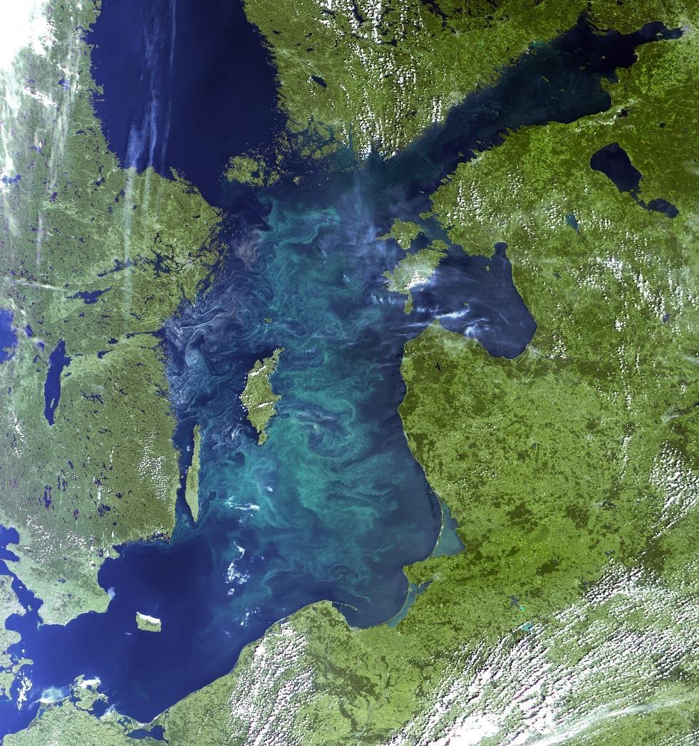 Besondere Rolle von Phosphor in der Ostsee Blaualgenblüte auf der zentralen Ostsee im Juli 2015 Reduktion der Stickstoffeinträge in die Ostsee wird durch Stickstofffixierung der