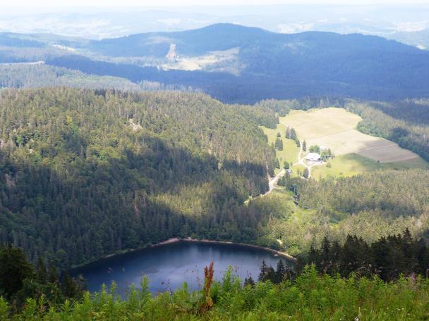 Bild 3: Wegstrecke der 2. Etappe (Hütte - Gipfel - Zastler Loch - Hütte) Ein Blick vom Seebuck aus in Richtung Feldsee lässt im Tal einen typischen Erosionsbereich erkennen.