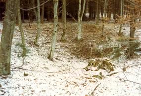 Die Dolinen befinden sich im Weißen Jura Ä1 (Kimmeridgium, ki4 : Liegende Bankkalke),