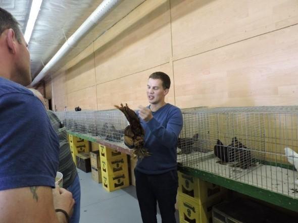Bericht Tierbesprechung Nord-Ost Wie auch im letzten Jahr haben wir unsere Jungtierbesprechung in der Ausstellungshalle des RGZV Meyenburg durchgeführt.