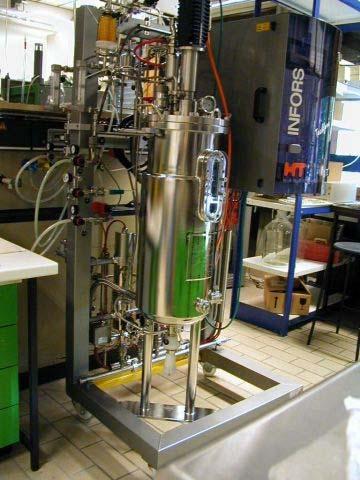 Bioreaktoren im Labor und Pilotmaßstab