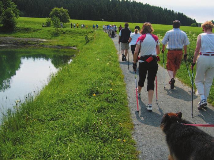 Dem Trend zum Gesundheitssport haben sich neben Tourismus-, Gesundheits- und Wellnesszentren auch Rehakliniken angeschlossen und bieten regelmäßig Nordic-Walking-Kurse und -Treffs an.