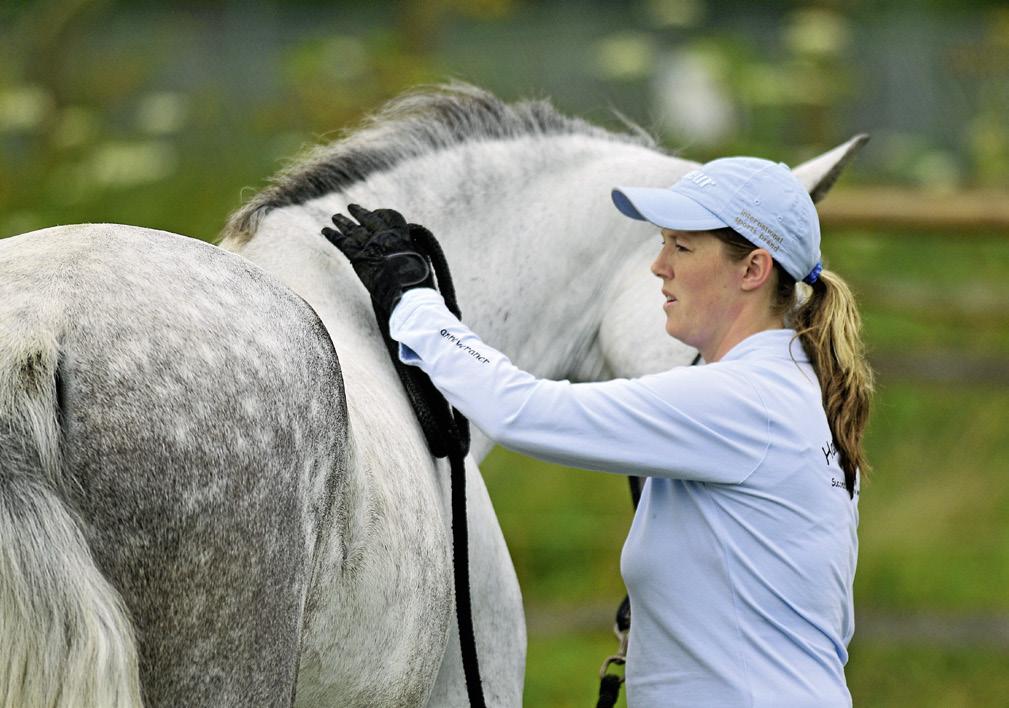 Vertrauen gewinnen Behandeln Sie Ihr Pferd mit Respekt und bleiben Sie auch dann gelassen, wenn eine Übung nicht auf Anhieb klappt.