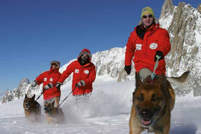 Leistungsbeweis unter extremen Bedingungen die Rettungshunde des Mont Blanc In einer wissenschaftlichen Studie 1 wurde Propentofyllin, ein bewährter Wirkstoff bei Altersproblemen von Hunden, bei