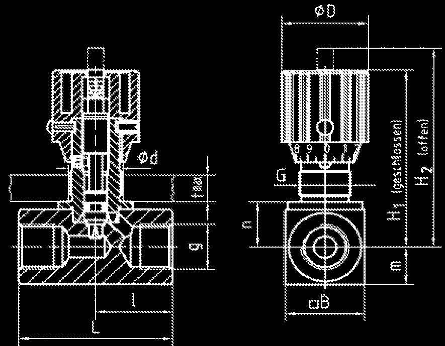 PN g H2 H1 m n B I L D d G Tmax Gew/Kg DV 6 233028 350 G1/8 56 51 8 10 16 19 38 24 13 Pg7 4 0,12 DV 8 233029 350 G1/4 71 65 12,5 14,5 25 24 48 29 19 Pg11 7 0,25 DV 10 233030 350 G3/8 75 68 15 17 30