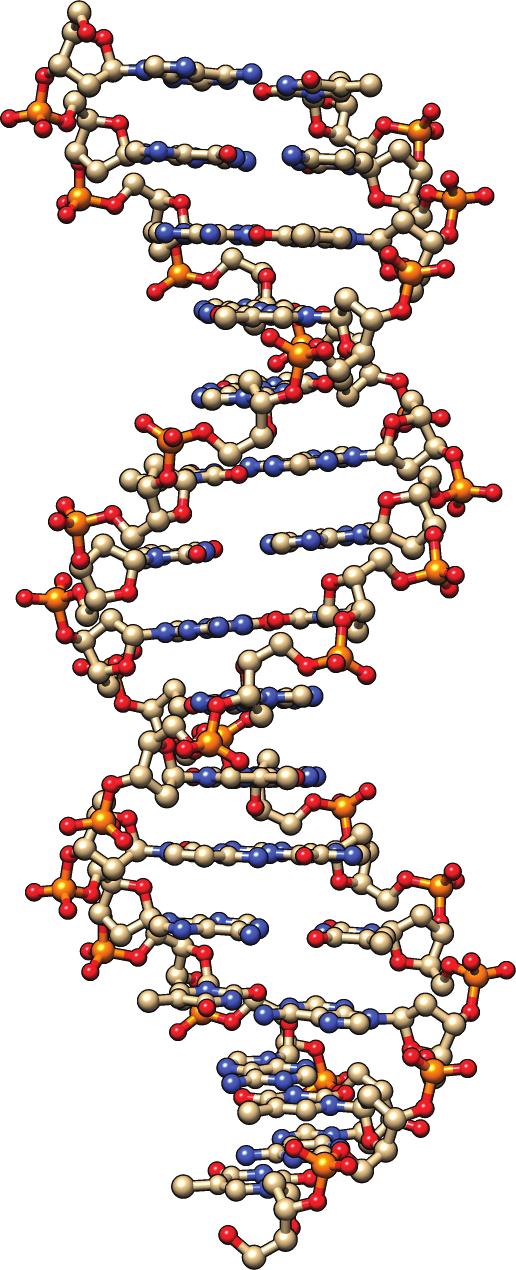 Aufgabe 4 Wasserstoff-Bru ckenbindung in DNA (15 Punkte).