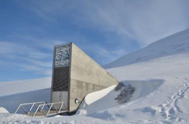 Strategie: Einfrieren Svalbard Saatguttresor Spitzbergen, 1.