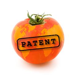 Fazit Patente Patente gefährden die Biodiversität einzelne Player können Wertschöpfungsketten steuern Patentierbarkeit muss sich auf echte Erfindungen, d.h. Verfahren, die in der Natur nicht möglich sind (z.