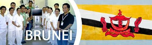 Brunei-Projekt Teleneurologie - Tele Reha -