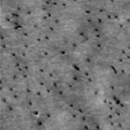 0 µm After galvanoforming