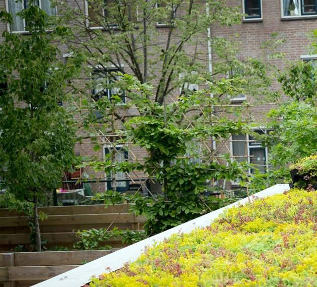 EINFACH ZU INSTALLIEREN MobiRoof Einfach zum Gründach Mit einem grünen Dach holen Sie die Schmetterlinge zurück in die Städte und schaffen so ein natürliches Refugium und Klima.