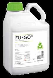 Herbizid Fuego Herbizid Gebinde 4 x 5 l Sollte zum Einsatztermin von Fuego bereits Ausfallgetreide aufgelaufen sein, setzen Sie 1,5 l/ha Fuego + 0,5 0,7 l/ha Agil-S ein,