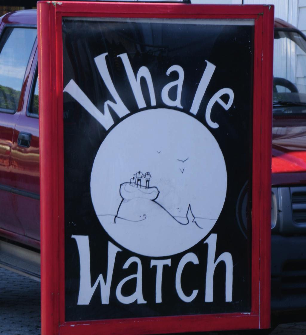 WIE MAN EINEN GUTEN WAL- BEOBACHTUNGS-ANBIETER FINDET Ulla Christina Ludewig WIE MAN EINEN GUTEN WALBEOBACHTUNGS-ANBIETER FINDET WDC erhält jedes Jahr hunderte Anfragen von Unterstützern, die Wale