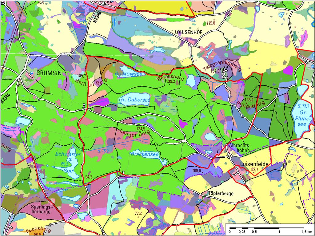 4. Innere Vielfalt des Waldes Weltnaturerbe