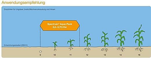 Mais - Pflanzenschutzstrategie Frühjahr 2017 *angegebene Abstände bei Verwendung von Düsen mit Abdriftminderung von 90%!