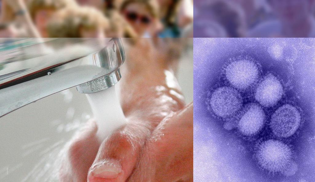 die pandemische Grippe (H1N1) 2009