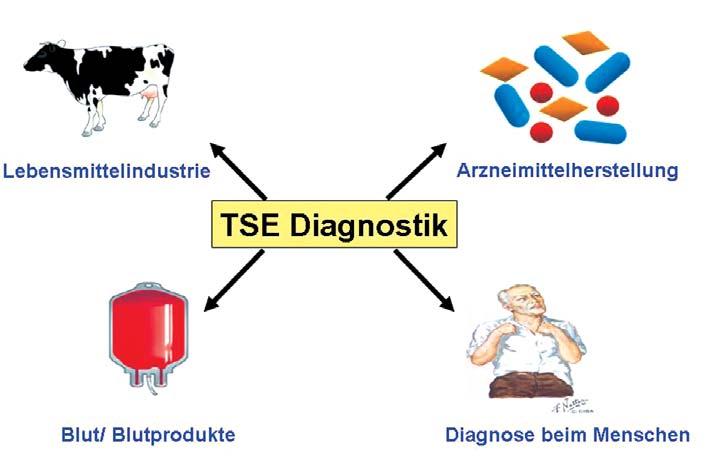 Lebensmittelindustrie Blut/Blutprodukte TSE Diagnostik Anwendungsbereiche der Prionendiagnostik. (Quelle: Flechsig/Klein) denen Proteinen.