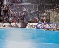 1999, 2000, 2002; 7mal Vizemeister DHB-Pokalsieger 1998, 1999, 2000 EHF-Pokalsieger 1998,