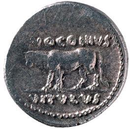 Dazu trug Caesar auf den Münzen eine Art Krone, die von den Etruskern stammte und wohl an den Triumphator erinnerte, der diese Krone allerdings nur an