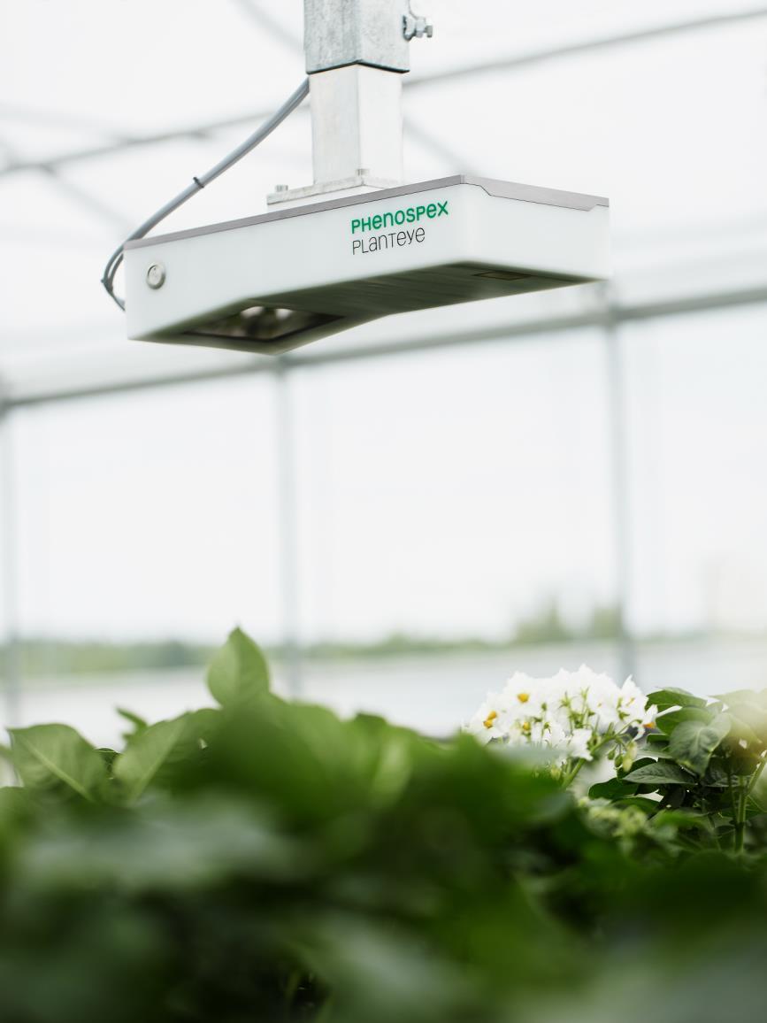 Das PlantEye System ermöglicht in der Pflanzenforschung und Pflanzenzucht eine automatisierte Analyse des Pflanzenwachstums sowie eine automatisierte Kulturführung in der industriellen