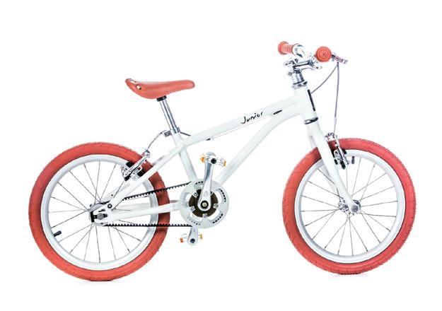 Mit einem Allzweck-Reinigungsmittel oder einem speziellen Fahrradreinigungsmittel bringen Sie das Bike wieder zu neuem Glanz.