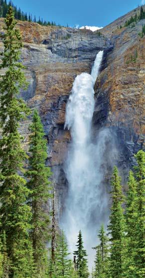 Uns zu Füßen liegen spek takuläre Seen, wie Peyto Lake, Lake Louise und Moraine Lake. Im Banff Nationalpark ist der gleichnamige Ort unser Logier- und Ausgangsort für unsere Unternehmungen.