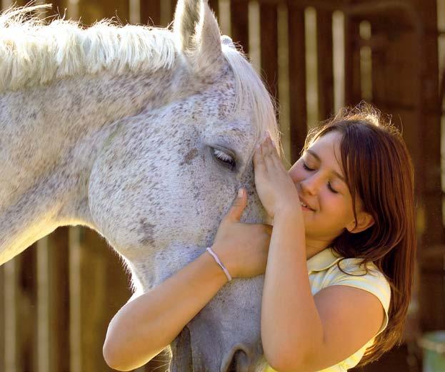 Gute Gründe für die * Freunde fürs Leben Zur Tierliebe die finanzielle Sicherheit Ihr Pferd ist Ihnen lieb und teuer. Daneben stellt es einen beträchtlichen Wert dar.
