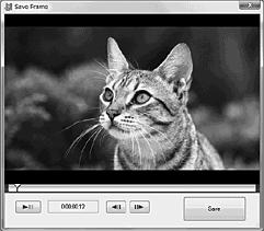 4 Nella parte alta della finestra, fare clic su [Crea dischi DVD- Video (STD)]. Viene visualizzata la finestra utilizzata per selezionare i filmati.