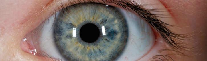 10 Augensprache Funktioniert nur bei nahen Verwandten Wir Menschen