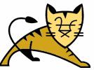 28 Tomcat Tomcat Version 5 implementiert die Servlet 2.4- und JavaServer Pages 2.0 Specifikation, definiert durch den Java Community Process http://www.jcp.