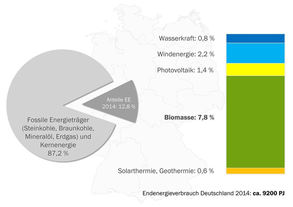 Einleitung Biomasse im nationalen Energiesystem Anteil erneuerbarer Energien am Endenergieverbrauch im Jahr 2014