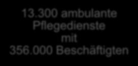 Pflegebedürftige in Deutschland 2.9 Mio.