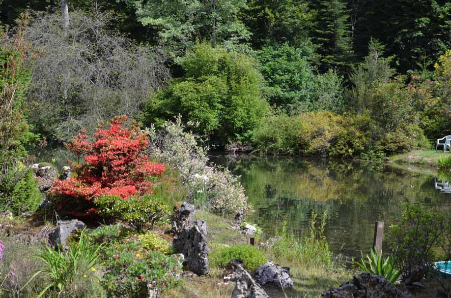 Aussergewöhnlich ist die Sammlung von Rhododendren, Bergahorn, Moorheide und japanischen Ahorne.