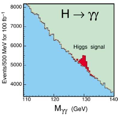 Die Suche nach Higgs am LHC