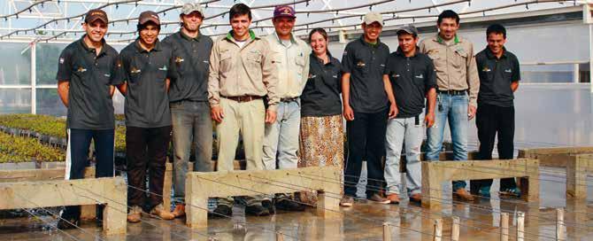 betreibt auf der Estancia Curuzú in Paraguay seit 2012 eine eigene Baumschule, die im Jahr 2015 auf die doppelte Größe ausgebaut wurde und über qualifizierte Mitarbeiter und das nötige Know-how für